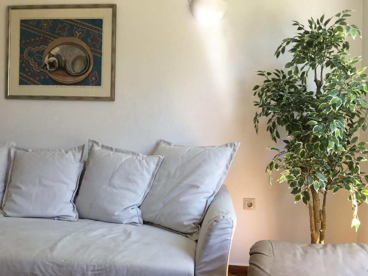 Central 5 Room Apartment 아테네 외부 사진
