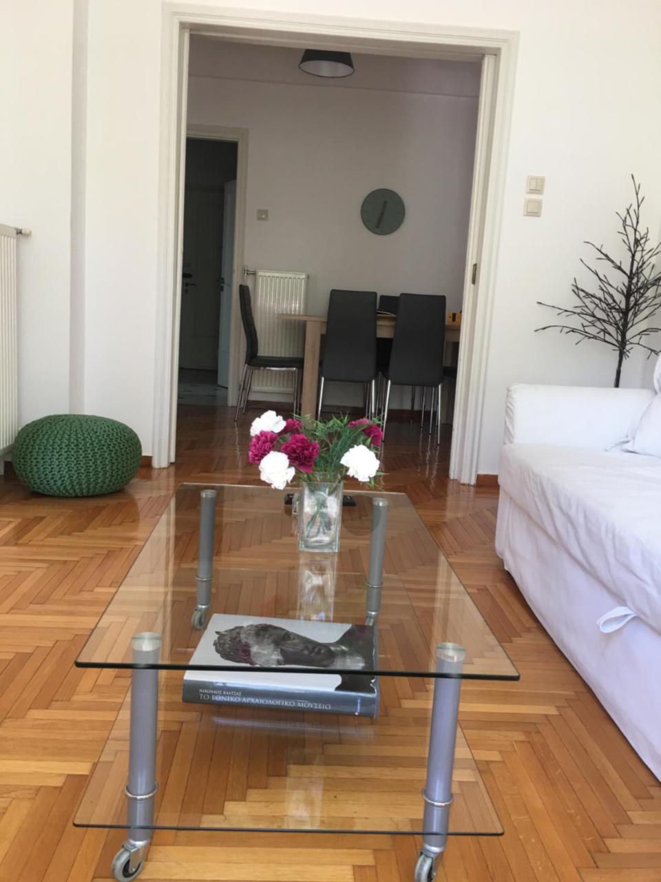 Central 5 Room Apartment 아테네 외부 사진